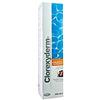 I.C.F. IND.CHIMICA FINE SRL Clorexyderm Soluzione Schiuma Cani/Gatti Icf 200ml