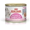 ROYAL CANIN ITALIA SPA Royal Canin Mother And Baby Cat Umido Per Gatti Morbido Pate'