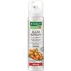 RAUSCH AG KREUZLINGEN Rausch Spray Per Fissaggio Capelli Strong Aerosol 75ml