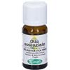Sangalli Malaleuca Olio Essenziale 10 ml Soluzione orale