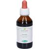 Sangalli Carciofo Foglie Tintura Madre Gocce 100 ml orali