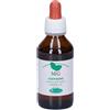 Sangalli Castagno Macerato Glicerico Gocce 100 ml orali