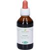 Sangalli Pilosella Foglie Tintura Madre Gocce 100 ml orali