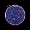 Senza marchio Polvere di pietre preziose grossolane turchesi schiacciate 1-3 mm tutto...
