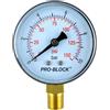 Pedrollo Manometro acqua Pedrollo 50015/0 MRG 10 radiale attacco 1/4 maschio Ø 63mm scala 0-10 bar