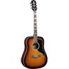 Eko Chitarra acustica honey burst Eko Ranger VI VR