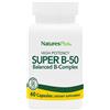 LA STREGA SUPER B50 60CPS
