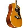 EKO RANGER VI VR NATURAL TOP STAINED chitarra acustica a 6 corde vintage NUOVA