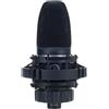 AKG C3000 microfono cardioide a condensatore diaframma largo per studio e live