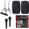 DISCOPIU IMPIANTO KARAOKE 813 PACK mixer con effetti + 2 casse + 2 microfoni + 2 stativi