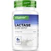vit4ever Lattasi 22.000 FCC Depot - 120 Compresse - Sepismart® Slow Release | Effetto Depot 6h - Alto Dosaggio - Per Intolleranza al Lattosio + Intolleranza al Latte - Testato in Laboratorio - Vegano