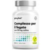 Gloryfeel Fegato Integratore, Complesso con 500 mg Estratto di Cardo Mariano, Carciofo, Spirulina e Curcuma, Supporto per il Fegato, Alta Biodisponibilità, Qualità Testata, 120 Capsule