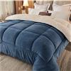 RRNAR Piumino Matrimoniale Invernale Caldo Piumone, Trapunta Invernale in Lana di Agnello, Coperta Matrimoniale Queen Size Singola Doppia Cashmere, Lavabile in Lavatrice,D,180x220cm(3kg)