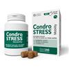 Innovet condrostress mobility 90 soft chews