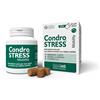 Innovet condrostress mobility 60 soft chews