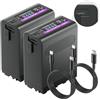 Mspalocell Batteria NP-F990 84,96Wh/11800mAh (PD30W USB-A e Tipo-c/USB-C) per Sony NP-F990 NP-F980 NP-F970 NP-F960 NP-F950 NP-F930 NP-F550 NP- F570 NP-F770 NP-F750 Batteria per videocamera, 2 pezzi