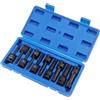 Raxfekro Set di 10 cacciaviti a percussione da 1/2 pollici, set di dadi Torx T20 - T80 per chiavi dinamometriche, set di punte, chiavi a cricchetto, ecc