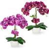 PASCH® Set di 2 Orchidee Artificiali in Vasi di Ceramica Lucida (40cm) | Fiori Artificiali Come Veri | Fiori Artificiali in Vaso (Viola-Porpora)