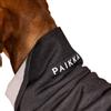 Paikka Maglia Invernale per Cani in Tessuto Recovery Grigio, 50-cm