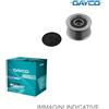 Dayco Ruota libera alternatore Dayco ALP2479 per Motori Marini FPT Iveco Aifo 3.0