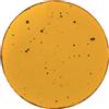 WEISSESTAL VASSOIO ROTONDO 31, COTTAGE YELLOW, 721183