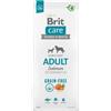 Brit Care - Grain Free Adult Salmon da 12 Kg