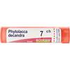 Boiron Phytolacca Decandra 7ch 80 Granuli Contenitore Multidose