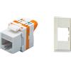 TechLy presa di rete RJ45 UTP Cat.6 tooless + Now sabbia