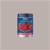 FABBRI 1,5 Kg Pasta Gusto Fragola ideale per Gelato Dolci Delipaste Fabbri