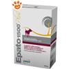 DRN Dog Epato 1500 - Confezione da 16 Compresse