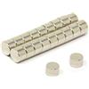 MAGNET Expert Ltd - Magneti a disco in neodimio N42, 6 x 4 mm, forza di trazione 1,1 kg, per lavori di artigianato e realizzazione di modelli (confezione da 20)