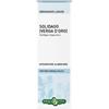 ERBA VITA ESTRATTI LIQUIDI Solidago Tintura Idroalcolica 50 Ml Ebv