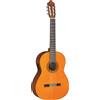 Yamaha CGX102A