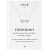 LUUK LIFESTYLE Collana Argento Infinito Ciondolo Donna (50cm c.) in Acciaio Inossidabile e dedica FRIENDSHIP, d'amicizia Regali per Lei, Moglie, Madre, Impermeabile, Gioiello Moda