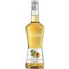 Liquore Monin Apricot Brandy cl 70 Albicocca