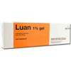 Molteni & C. F.Lli Alitti Spa Luan 1% Gel Tubo 100 G