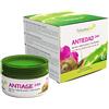 Tabaibaloe Crema viso rigenerante Anti-invecchiamento 24h 100 ml Tabaibaloe