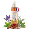 Museau & Co Aceto dei 4 Ladri Spray 250ml per Cani e Gatti | Antiparassitario Naturale Pulci & Zecche | Antibatterico, Antifungino & Repellente Insetti | Senza Pesticidi
