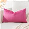Artscope Federe Cuscini in Velluto Minimalista Copricuscino Colorato per la Decorazione Domestica Soggiorno Camera da Letto Divano 30x50cm, Rosso Rosa