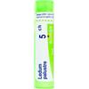 BOIRON Srl BOIRON LEDUM PALUSTRE BOI*5CH 80GR 4G
