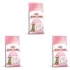 Royal Canin Kitten Sterilised | Confezione Tripla | 3 x 400 g | Alimento completo per gatti | Specifico per gatti sterilizzati in crescita da 6 a 12 mesi di età