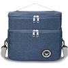 TUXUNQING Borsa Termica Piccola 9,6L, Porta Pranzo Mini Frigo, Lunchbox Isolata per Lavoro, Viaggi, Ufficio e Picnic