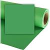 Colorama fondale in carta 2.18 X 11M Chromagreen