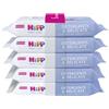 HIPP ITALIA Srl HIPP SALVIETTINE DETERGENTI&DELICATE 5X48 PEZZI