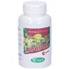 Sangalli Fitoattivi Boswellia Capsule 1 pz