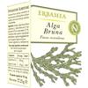 ERBAMEA ALGA BRUNA 50OPR