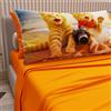 PETTI Artigiani Italiani - Lenzuola Animali con Gatti in Cotone con Federe in Stampa Digitale, Lenzuola Letto Singolo, Completo Letto Singolo Arancione, 100% Made in Italy