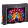 Ulmer Puzzleschmiede - Puzzle da 1000 pezzi Federkleid - il pavone come un moderno motivo a puzzle di arte animale abbagliante con colori intensi - sorprendentemente diverso puzzle di animali,