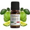 Oxxigena - Olio Essenziale di Cedro Gold Edition - 10 ml - Made in Italy - Puro al 100%, Naturale, Vegano, Senza OGM - Ideale per Aromaterapia, Miscele da Massaggio
