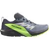 Salomon Sense Ride 5 Gtx - Uomo